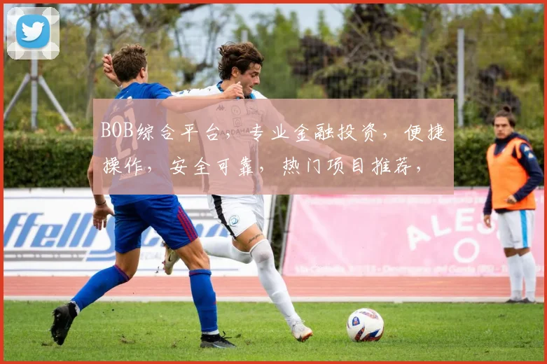 BOB综合平台，专业金融投资，便捷操作，安全可靠，热门项目推荐，财富增长之道
