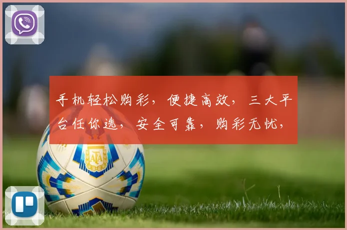 手机轻松购彩，便捷高效，三大平台任你选，安全可靠，购彩无忧，体验非凡