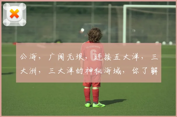 公海，广阔无垠，连接五大洋，三大洲，三大洋的神秘海域，你了解多少