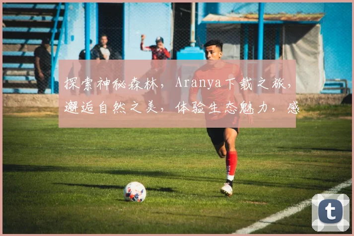 探索神秘森林，Aranya下载之旅，邂逅自然之美，体验生态魅力，感受生命奇迹