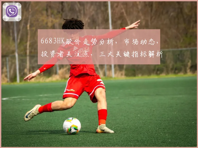 6683HK股价走势分析，市场动态，投资者关注点，三大关键指标解析